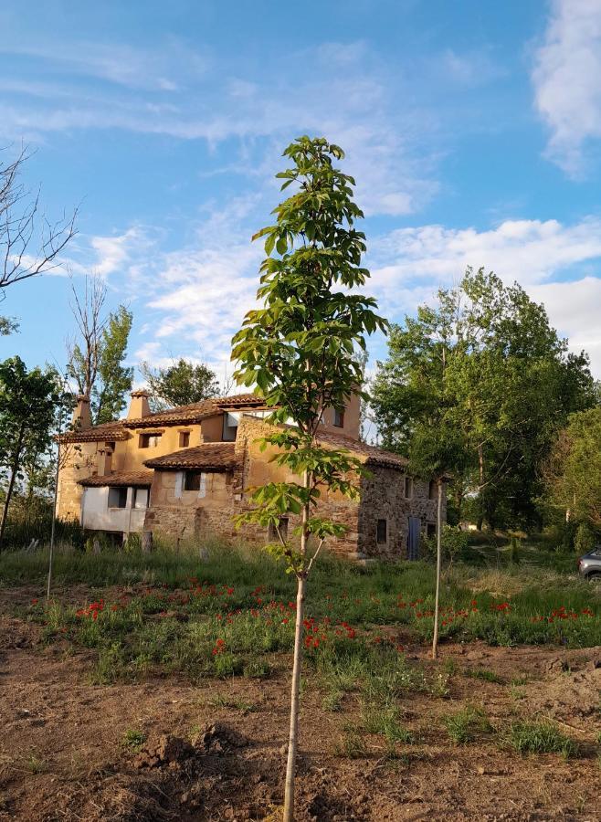 Torre la Cárcel Molino Del Buhoゲストハウス エクステリア 写真